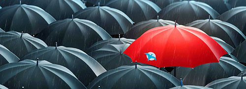 Viele schwarze Regenschirme, von oben betrachtet, nur einer ist rot und hat den Phönix-Vogel als Logo aufgedruckt